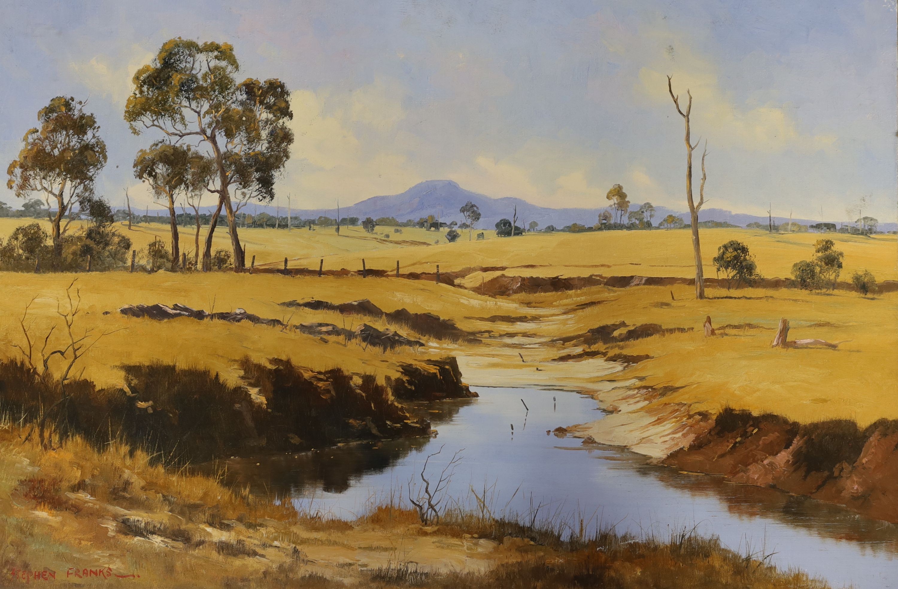 Stephen Franks (1942-2002), oil on board, South African landscape, signed, 61 x 91cm, unframed